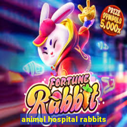 animal hospital rabbits